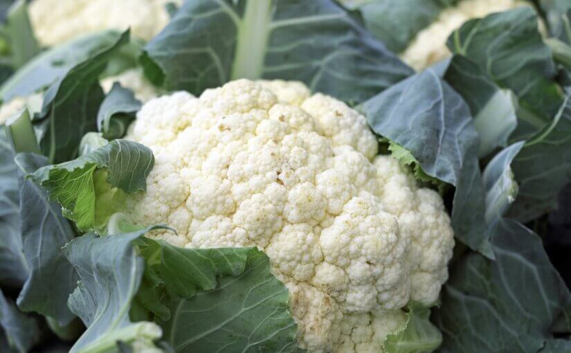 cauliflower is just one of the many edible plants that grow well in the winter